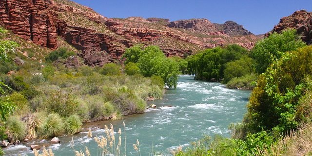 2548806699_ec7eabfee2_z