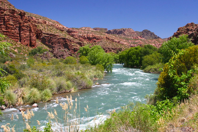 Mendoza: el agua... / por: Eduardo Pérez Caram