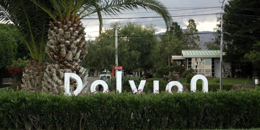 1575479150212Dalvian