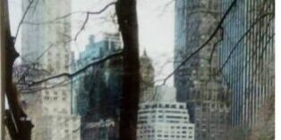 77c7495c-71ce-479d-b01e-28f91975d47e