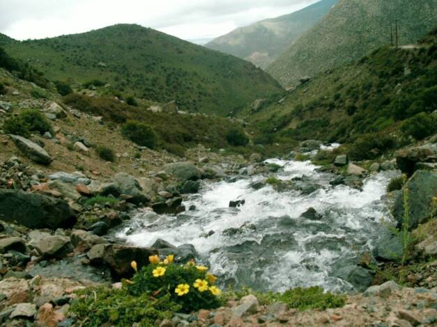 Día mundial del Medio Ambiente... / por: Hugo Bayón Cervero