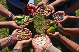 Soberanía alimentaria y medio ambiente / por: Hugo Bayón Cervero