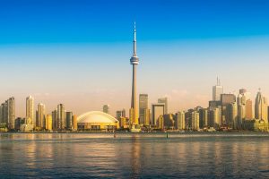 The Thanksgiving Day / por: Rodrigo Briones