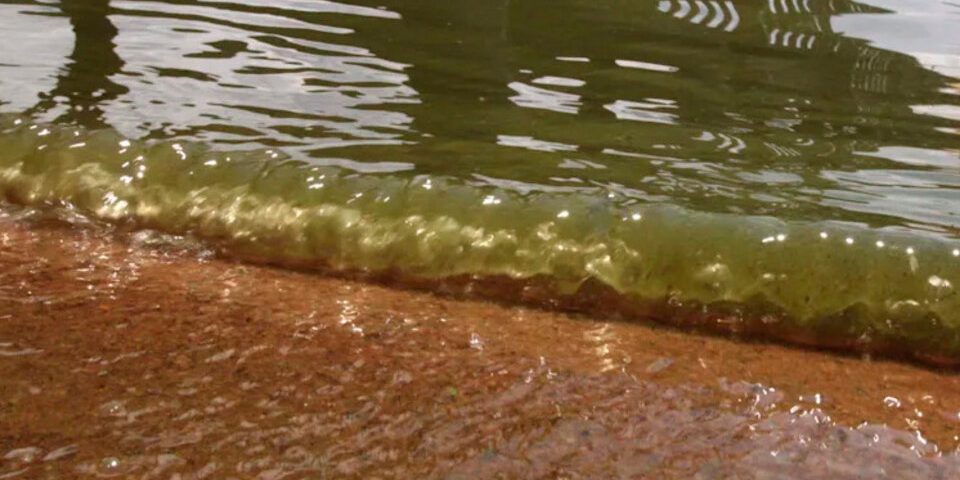 339331-whatsapp-20image-202022-02-04-20at-2016-54-01