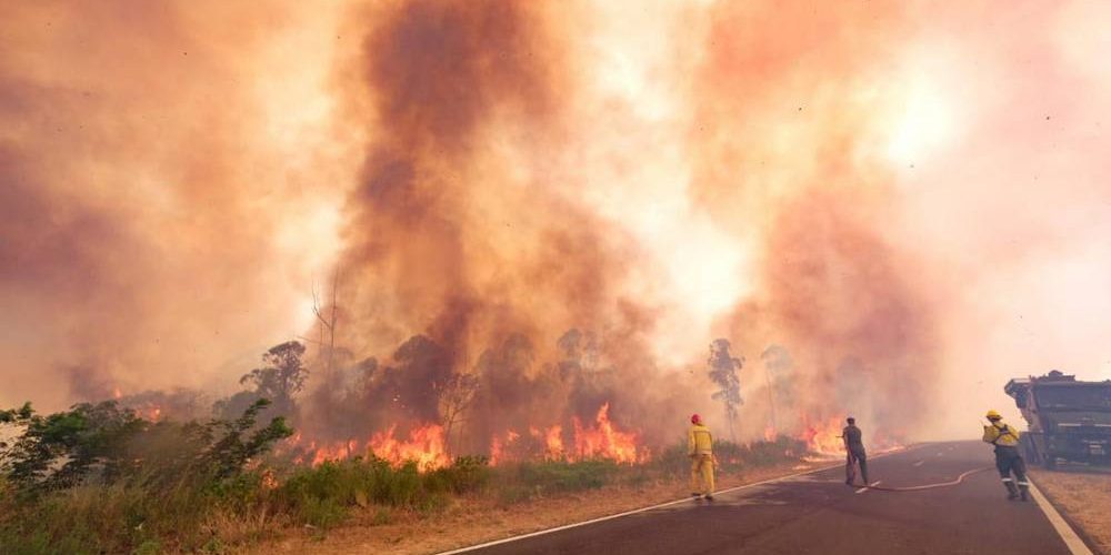 web-incendios-corrientes-telam-1