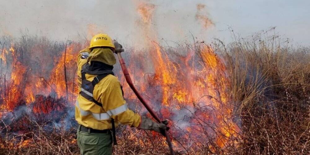 incendio-rosario-1402372