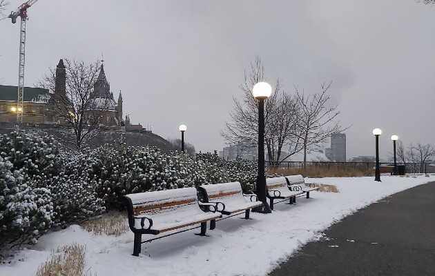 Predicen un invierno extraño para 2020-2021 en Canadá, con mucho frío y  nieve – RCI
