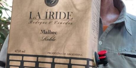 07b06932-704f-492b-8860-90283e599643-461×1024