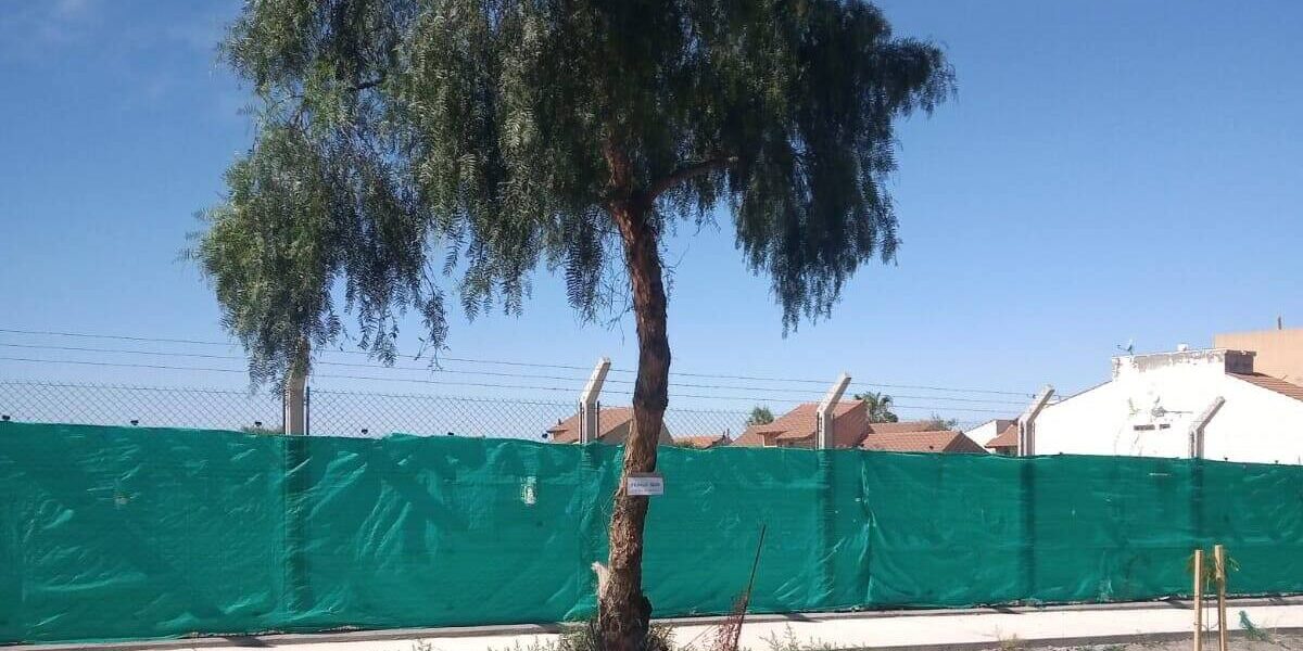 051386a3-5ab4-4aaa-8ca5-aeee748f7705