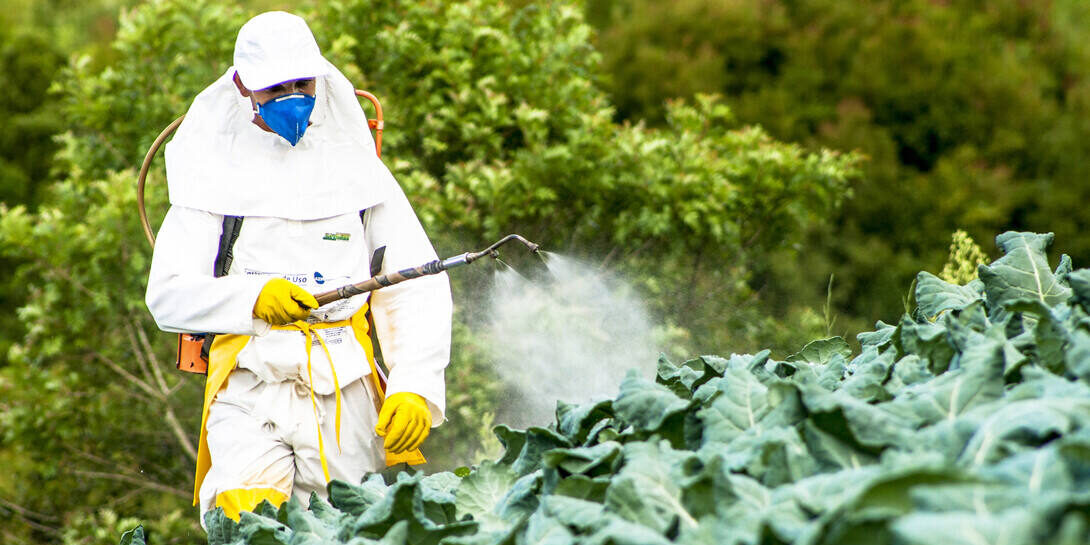 Un-operario-fumiga-las-plantaciones-con-pesticida