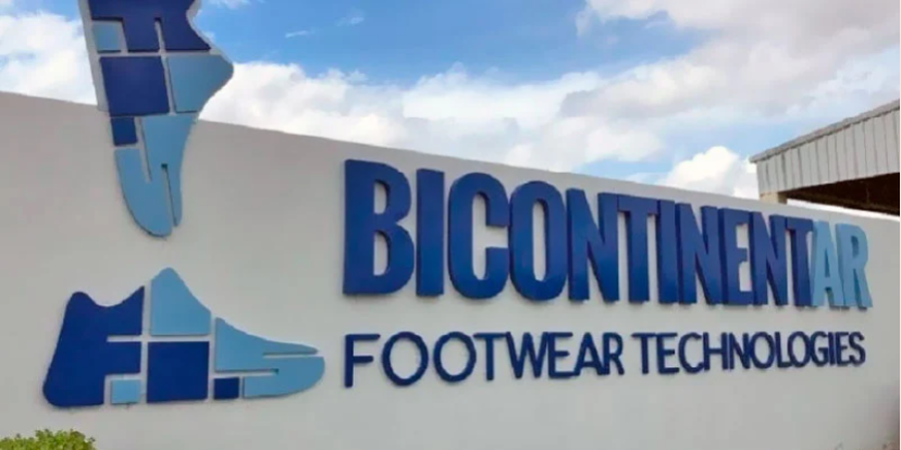 Captura de pantalla 2024-11-16 123555