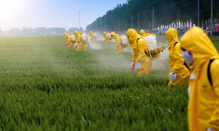 Proyecto de ley autoriza a fumigar a diez metros de centros poblados y escuelas rurales