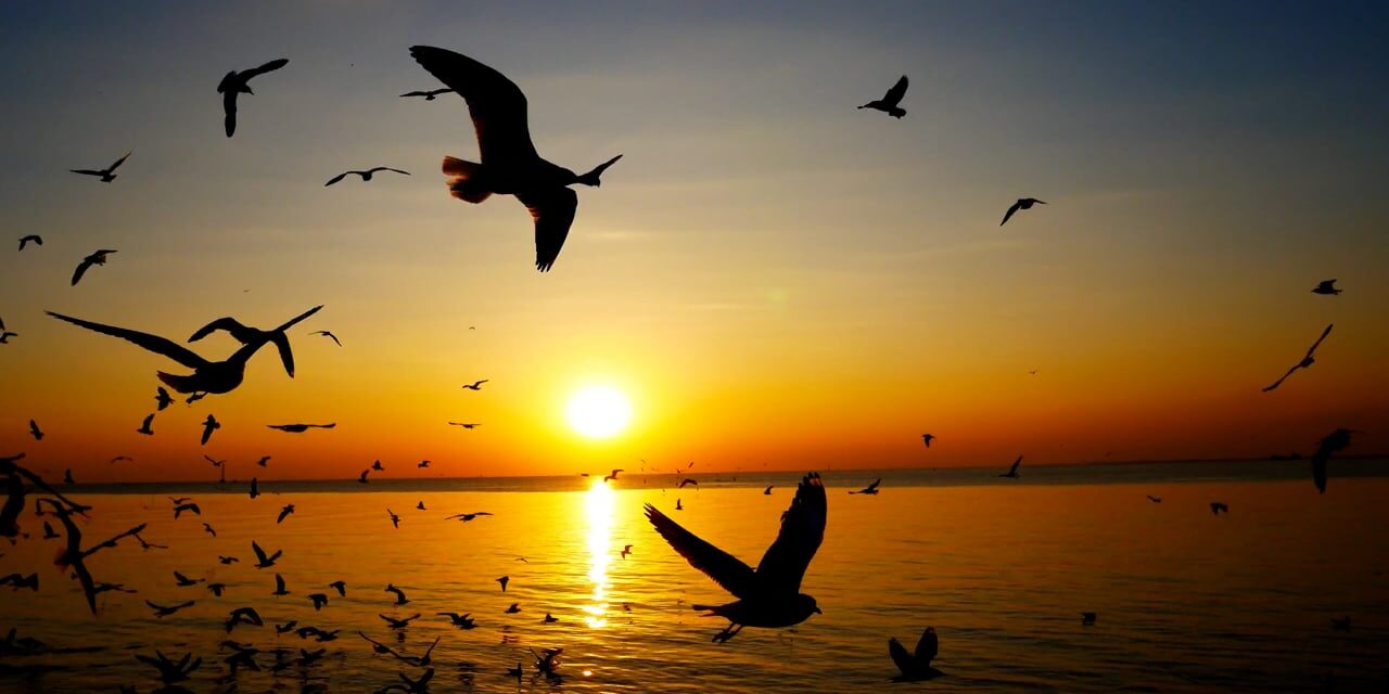 140111-774507949_tiny