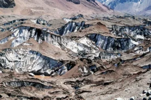 Una gira militante que dej&oacute; huellas &iquest;nuevo ambientalismo? 3 / por: Carlos Benedetto