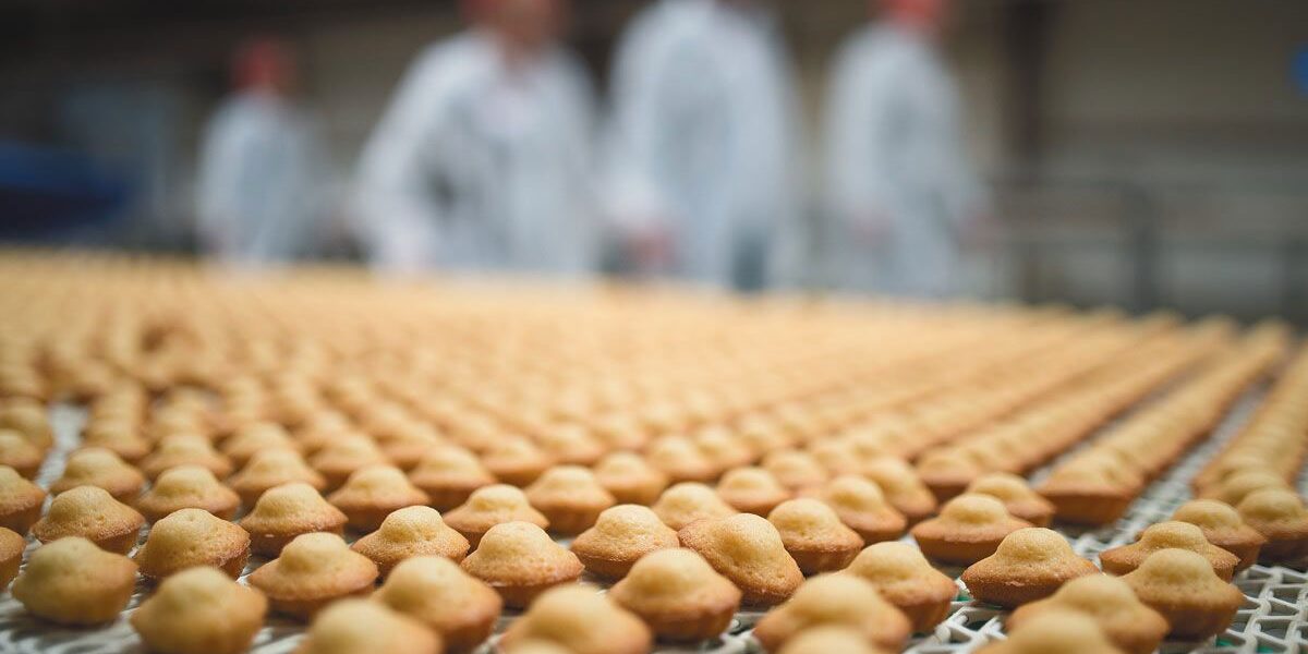 industria-galletitas-