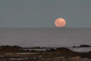 De viajes y viajeros de sue&ntilde;os de luna llena / por: Luc&iacute;a Isabel Briones Costa